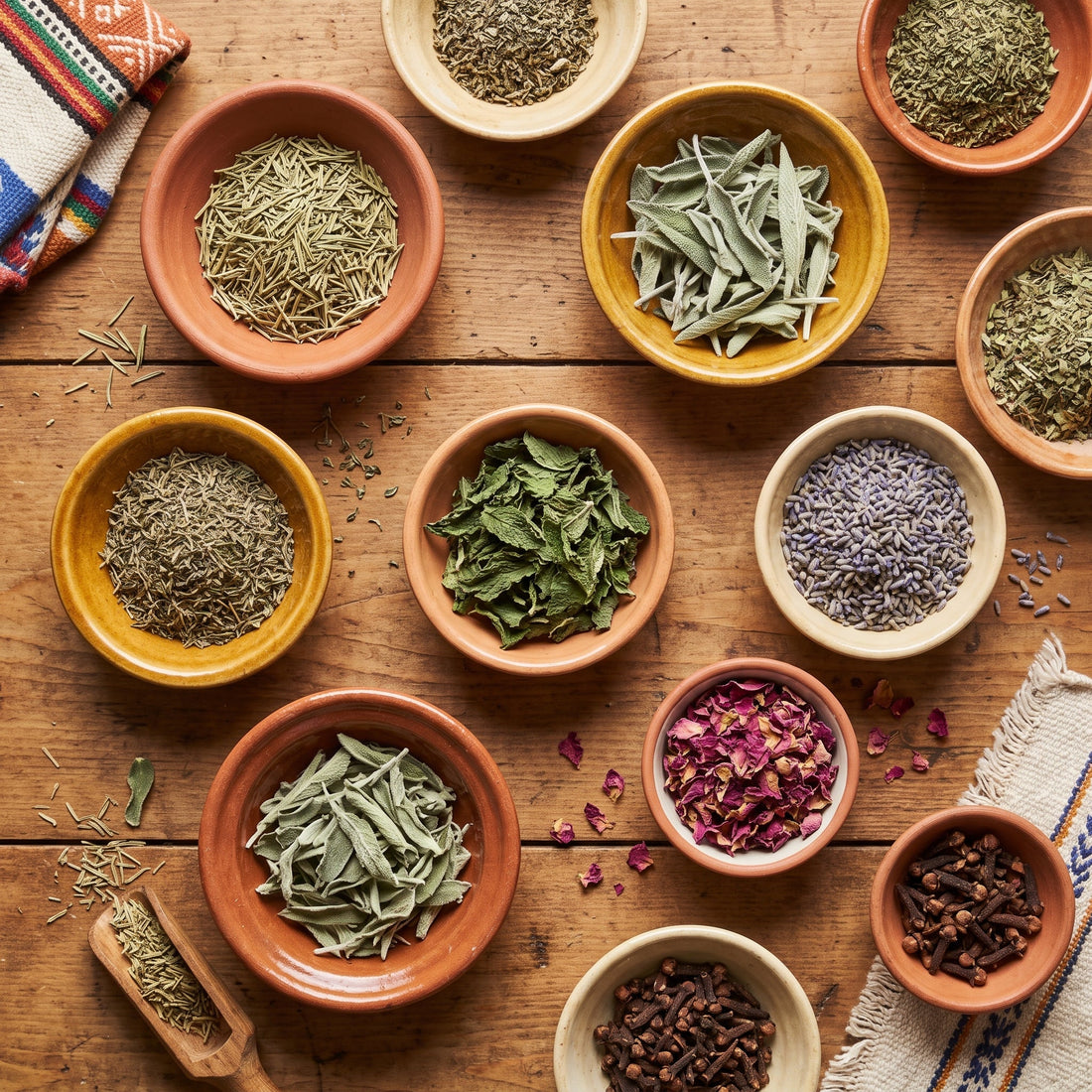 Noms des plantes en français, arabe et darija : le guide complet
