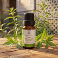 Huile essentiel verveine bio maroc aliklil 10ml