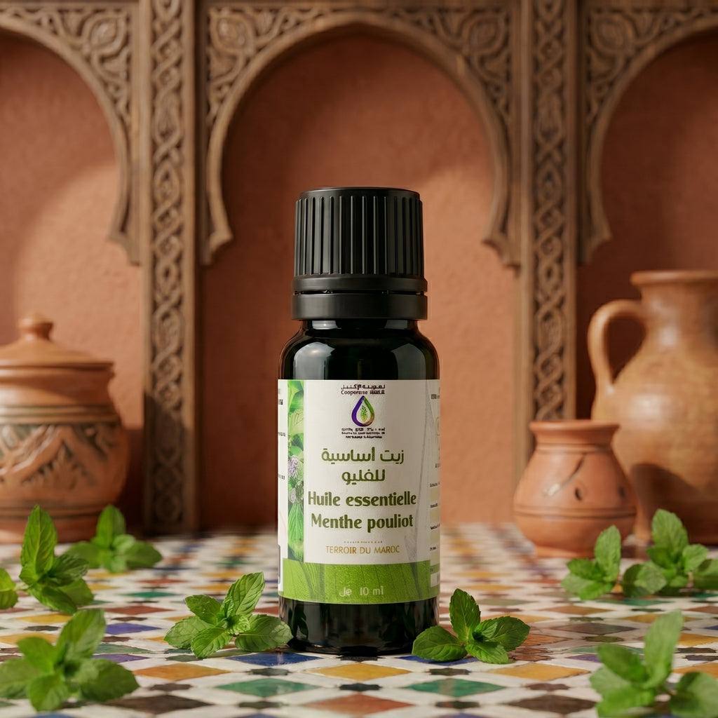 Huile essentiel menthe pouliot  10ml de la coopérative A L IKLIL