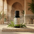 Huile essentielle romarin e la cooperative al iklil dans un hamam