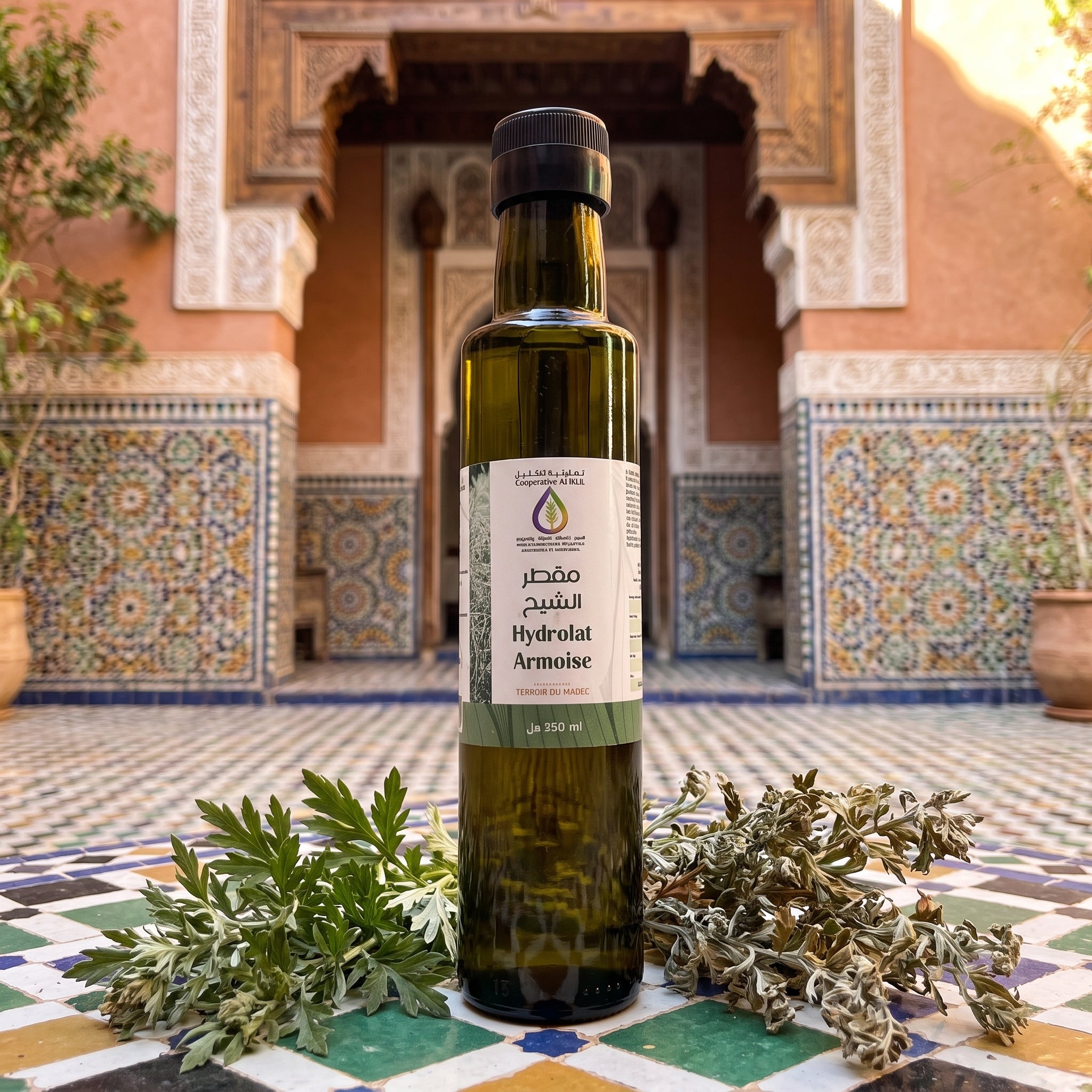 Hydrolat armoise 250ml bio maroc