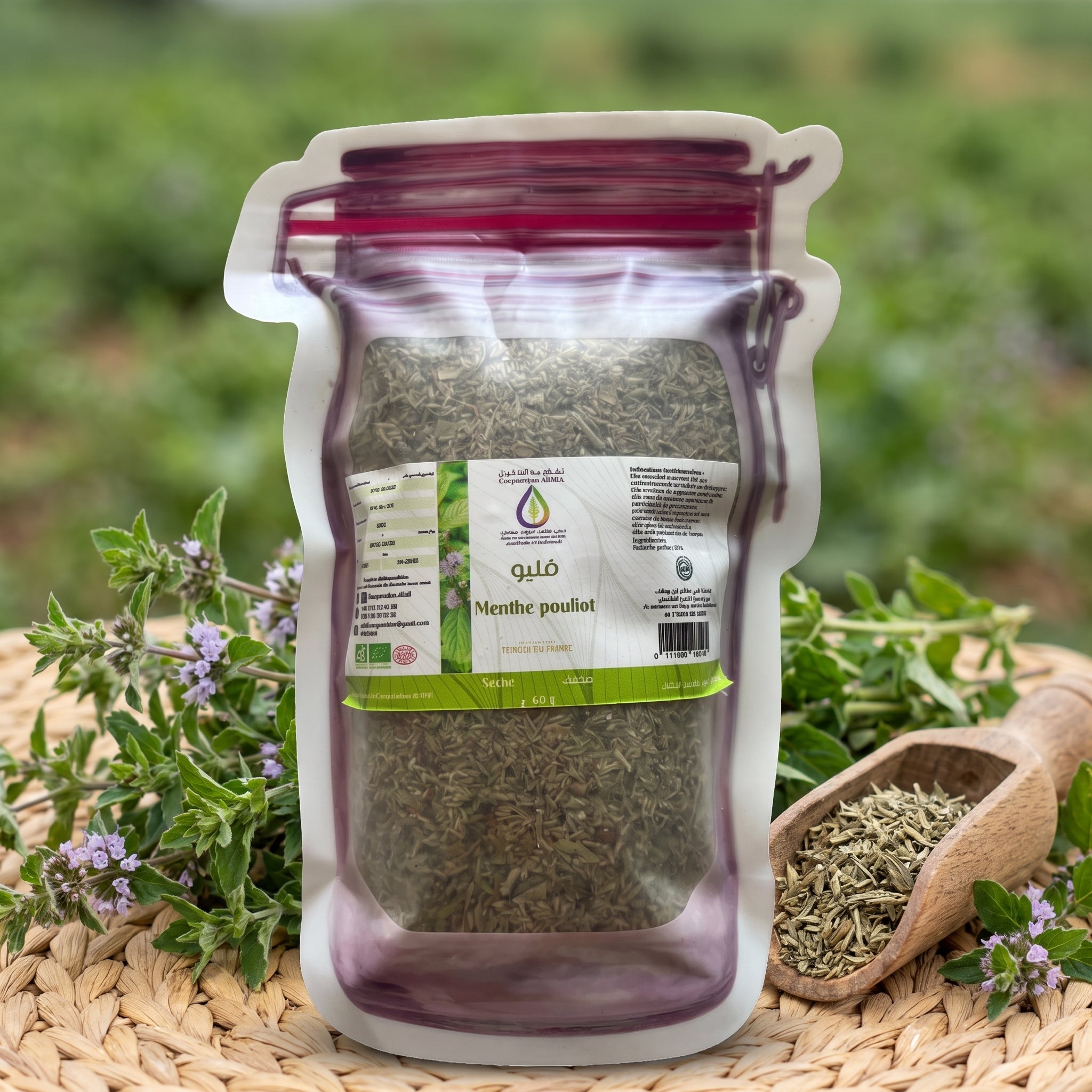 Menthe pouliot sechee aliklil bio champs