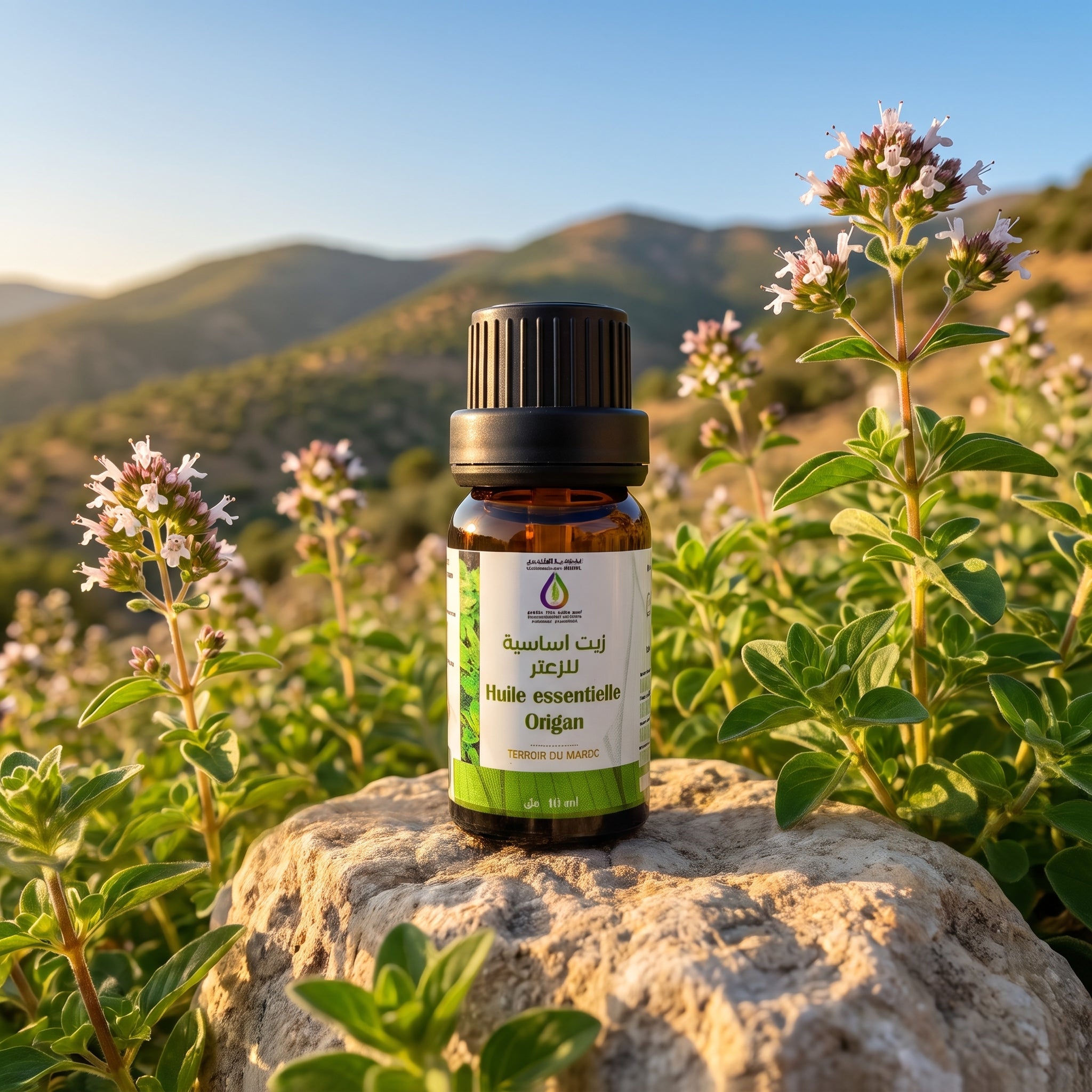 Huile essentiel origan 10ml bio